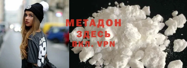 прущие грибы Новый Уренгой