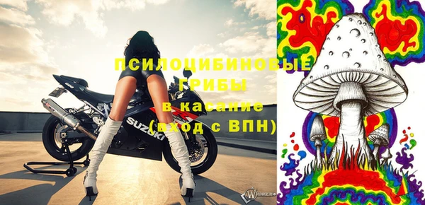 прущая мука Магас