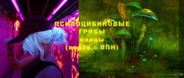 прущая мука Магас